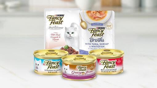 Fancy Feast